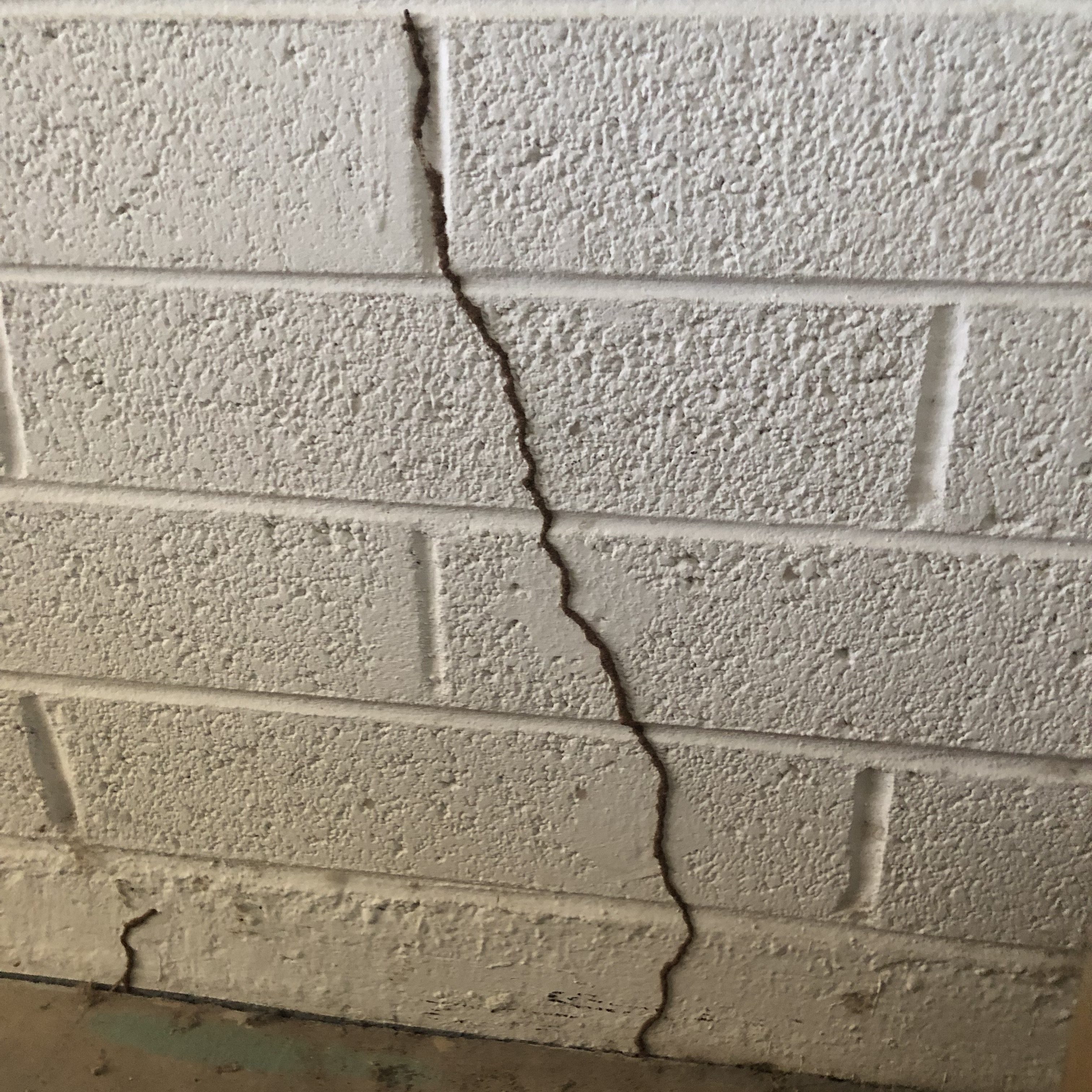 Block home, termite safe? - Desert Termites